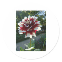 Red&White flower stickers by Elfain Red&White flower stickers