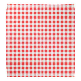 Red White Gingham Pattern Bandana