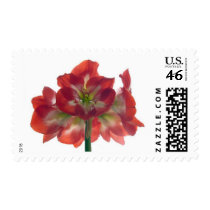 Red/White/Green postage by t1r2u3s4t Red/White/Green postage