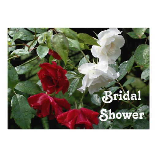 Red White Roses Bridal Wedding Shower Invitation
