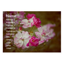 Red white roses business card template