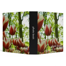Red & White Tulips DSC0869 binders