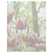 Red & White Tulips DSC0869 Letterhead Template
