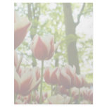 Red &amp; White Tulips DSC0869 Letterhead Template