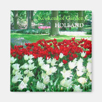 Red white tulips garden magnets