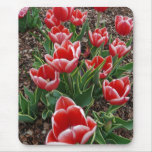 Red & White Tulips Mousepad