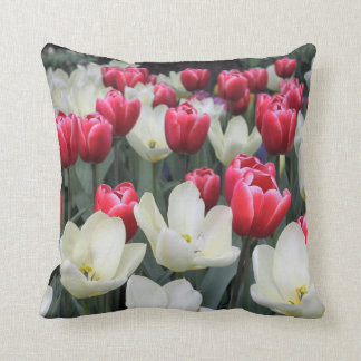 Dutch Decor Cushions Decorating Ideas Find Dutch Decorative Pillows On Houzz
