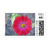 red wild flower postage by wootykazoo red wild flower postage
