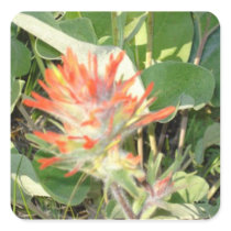 Red wildflower square sticker