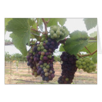 Red Wine cards