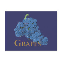 Red Wine Grapes Postcards
