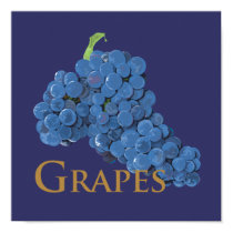 Red Wine Grapes posters by aproducetrail Red Wine Grapes posters