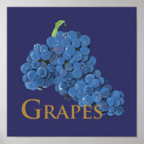 Red Wine Grapes Poster
