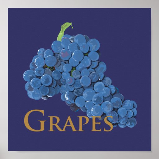 Red Wine Grapes Poster Zazzle