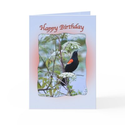 red_winged_black_bird_birthday_card-p137151905924496924tdtq_400.jpg