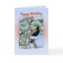 Red-winged Black Bird Birthday Card by GrandmaDee Red-winged Black Bird Birthday Card