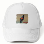 Red-winged Blackbird Art Trucker Hat