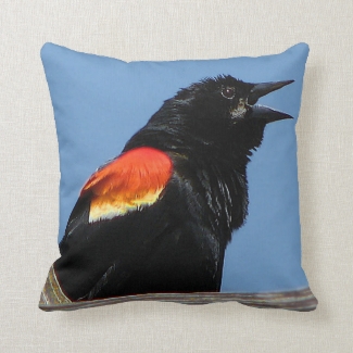 Red-winged Blackbird Bird Animal Outdoor Pillow