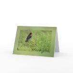 Red Winged Blackbird Greeting Card