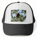 Red-winged blackbird trucker hats