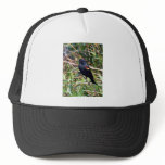 Red-winged blackbird trucker hats