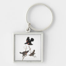 Red-Winged Blackbird, John Audubon Key Chain