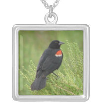 Red-winged Blackbird Necklace necklaces