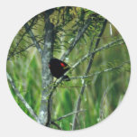 Red-winged Blackbird Round Sticker