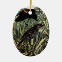 Red-Winged Blackbirds and Nest in Cattails Christmas Tree Ornaments