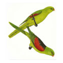 Red-winged Parrot Pair - Aprosmictus erythropterus posters by LisasLair Red-winged Parrot Pair - Aprosmictus erythropterus posters