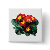 Red with Yellow Primroses buttons