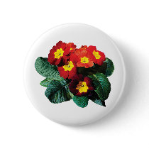 Red with Yellow Primroses buttons