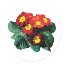 Red with Yellow Primroses stickers