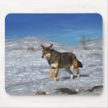 Red Wolf February 2011 Mouse Pad