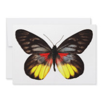 Red Yellow and Black Butterfly invitations by WilsonGraphics Red Yellow and Black Butterfly invitations