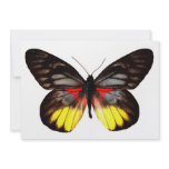 Red Yellow and Black Butterfly Invitation