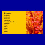 RED YELLOW AUTUMN LEAVES FALL MAPLE NATURE BEAUTY business cards