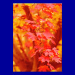 RED YELLOW AUTUMN LEAVES FALL MAPLE NATURE BEAUTY invitations