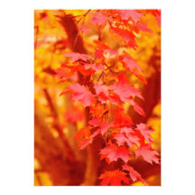 RED YELLOW AUTUMN LEAVES FALL MAPLE NATURE BEAUTY CUSTOM INVITATIONS