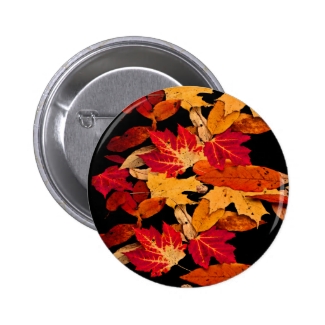 Red Yellow Brown Orange Autumn Leaves