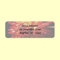 Red Yellow Dahlia Flower Address Label labels