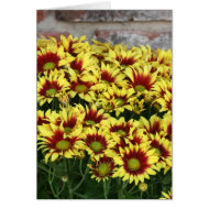 Red Yellow Flowers against brown red brick wall card