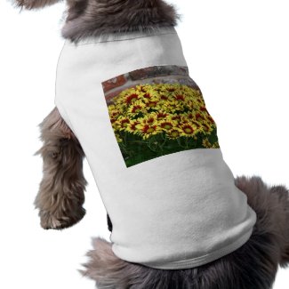 Red Yellow Flowers against brown red brick wall petshirt