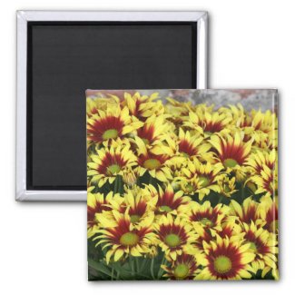 Red Yellow Flowers against brown red brick wall magnet