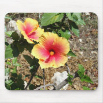 Red/Yellow Hibicus mousepads