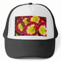Red Yellow Primrose Hat