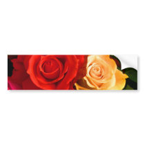 Red Yellow Rose Bumper Sticker - Customizable bumper stickers by colorimages Red Yellow Rose Bumper Sticker - Customizable bumper stickers
