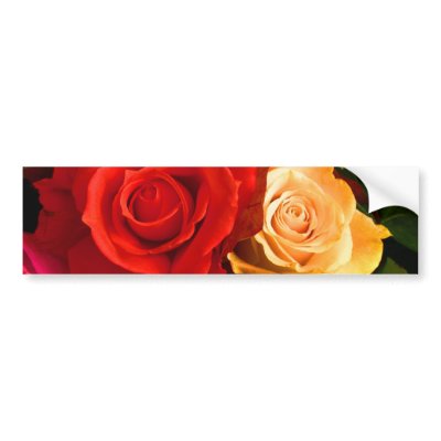 Red Yellow Rose Bumper Sticker - Customizable by colorimages