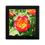 Red Yellow Rose gift boxes