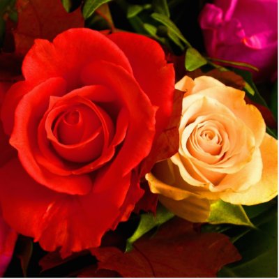 Red Yellow Rose Photo Sculpture by WeddingsBest
